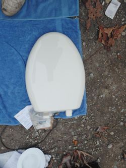 Beams oblong toilet seat
