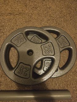 25lb Standard Plates