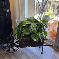 Artificial Plant-Quality! Simply spray with water to clean.