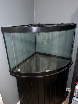 Corner Fish tank