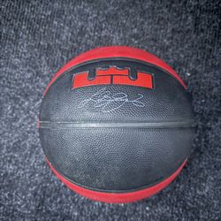 New Lebron James basketball