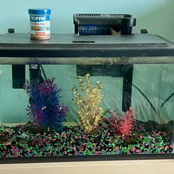 10 gallon Fish Tank Kit $60