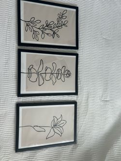 Minamalist Framed Flower Pictures