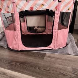 Cat Kitten playpen 