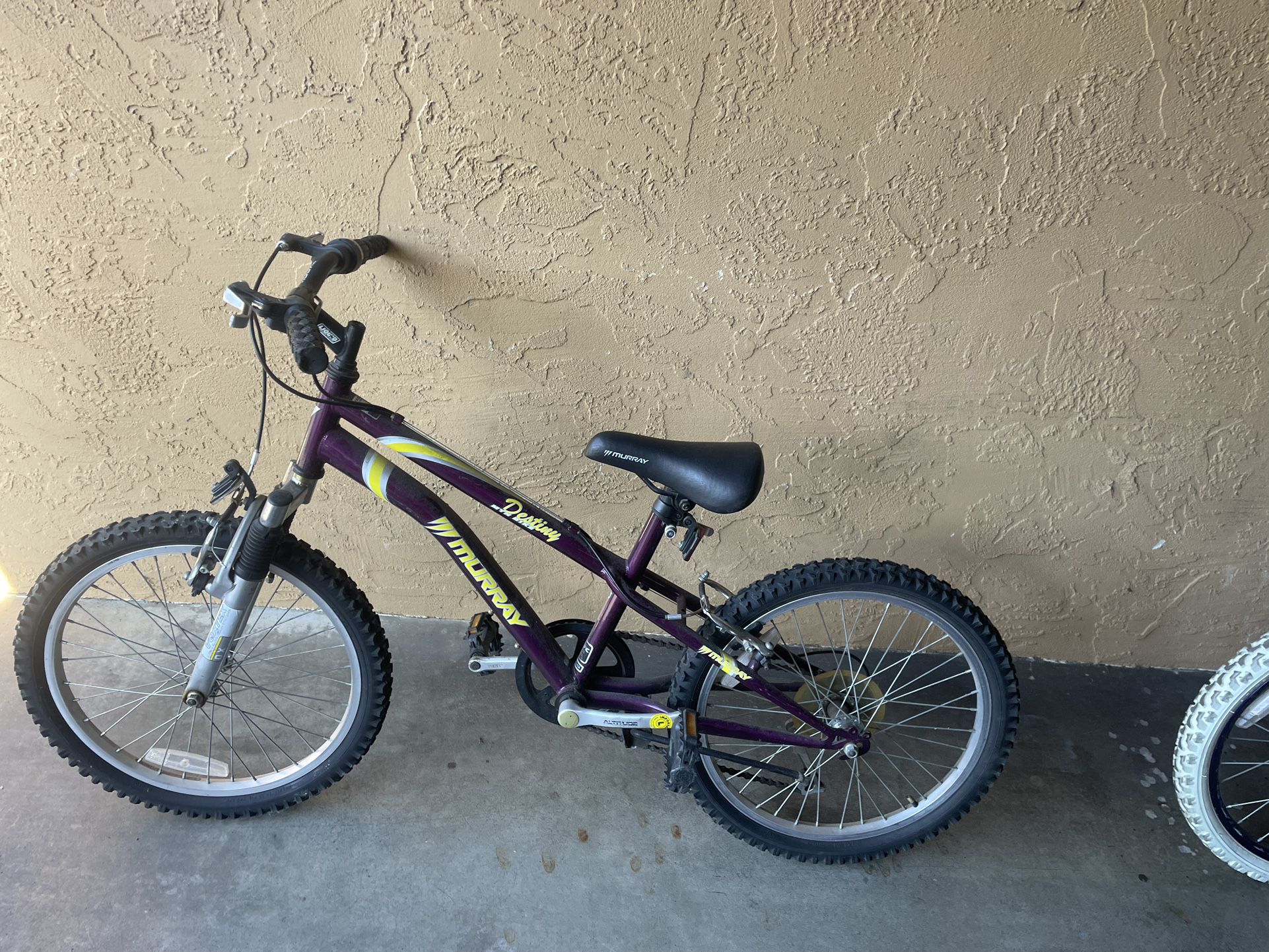 Kids Girls Mountain Bike 20” Wheels