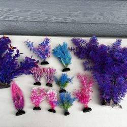 Aquarium Plants 