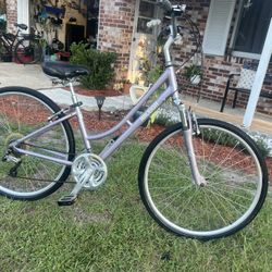 Bicycle 29 Inch For Women’s 