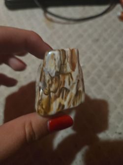Rare •palized Arizona Rainbow Petrified Wood Chunck