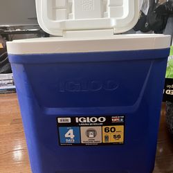 IGLOO COOLER