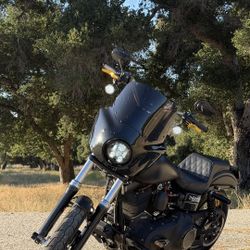2014 Harley Davidson Dyna Street Bob (FXDB)