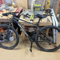 Specialized Rockhopper Mountain Bike-Large