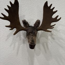Handmade Wall Deco Moose Head 