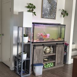 Aquarium 
