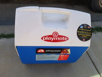 Playmate cooler