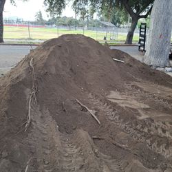 Dirt