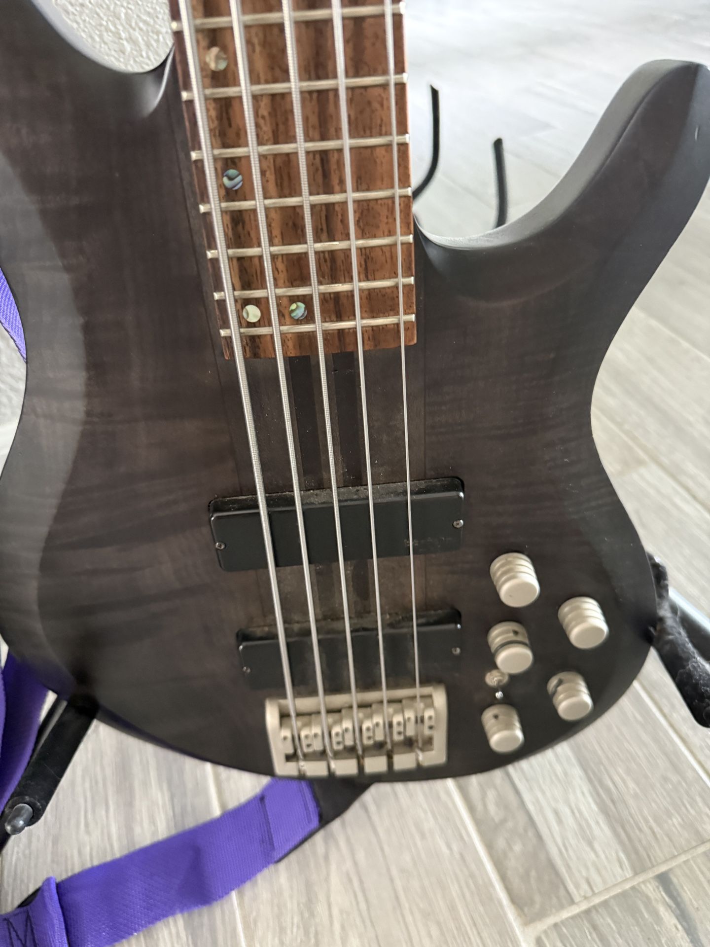 5 String Neck Through Active Bass Guitar (Ocean)