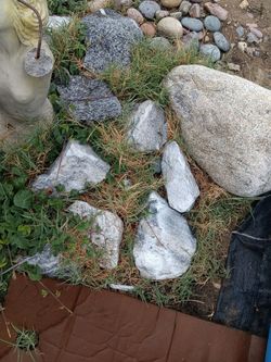 Assorted rocks