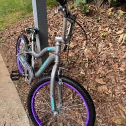 Girls 20-inch Schwinn Bicycle