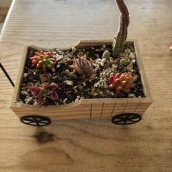 Small Succulent Wagon