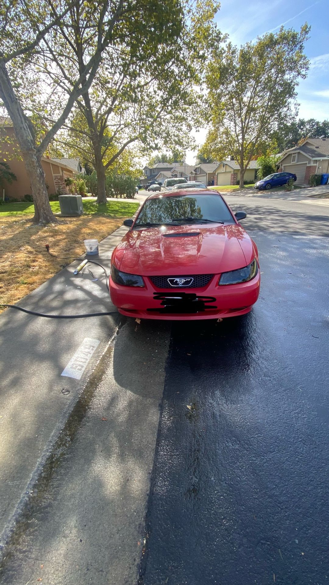 1999 Ford Mustang