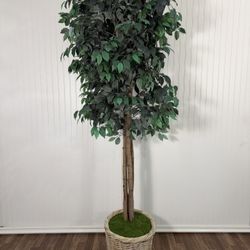 90” Tall Faux Ficus Tree in Woven Basket Planter
