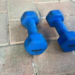 2 two 5lb Dumbbell Weights