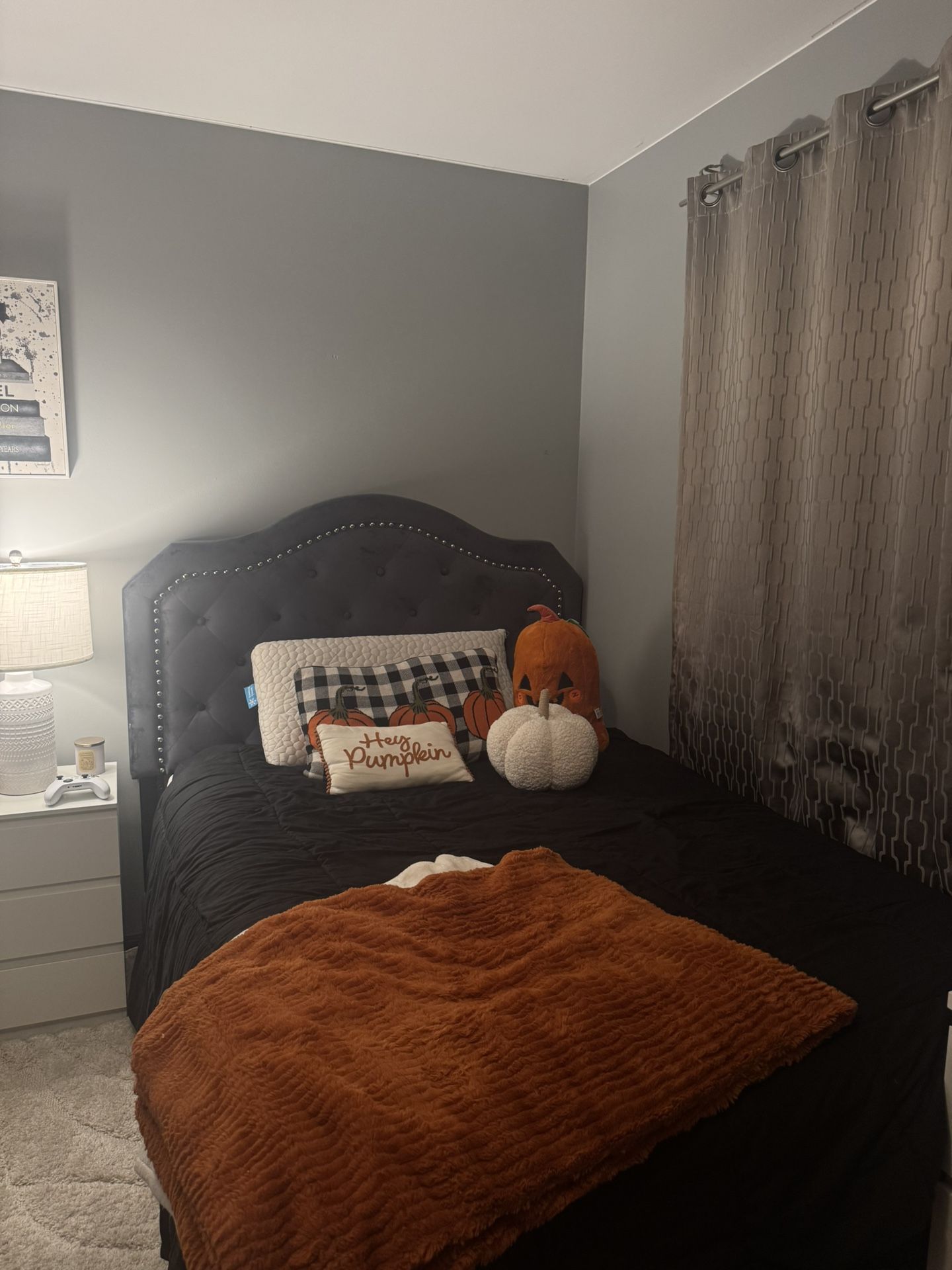 Velvet grey Beds Full