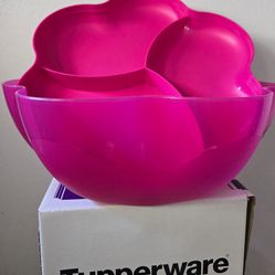 Ensaladora( salad container )