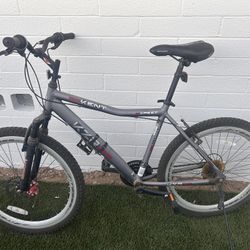 Adult Bike