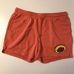 Nickelodeon All That Beach Men’s Shorts — Size XL