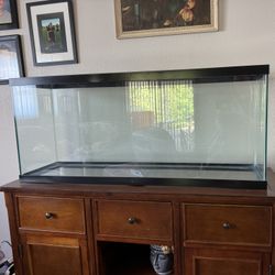 55 Gallon Fish Tank With Custom Lid & credenza