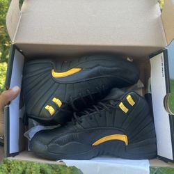 Jordan 12s “ Black Taxi “ 