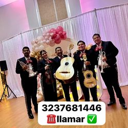 Vihuela violín mariachi