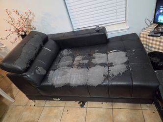Free Sectional Couch