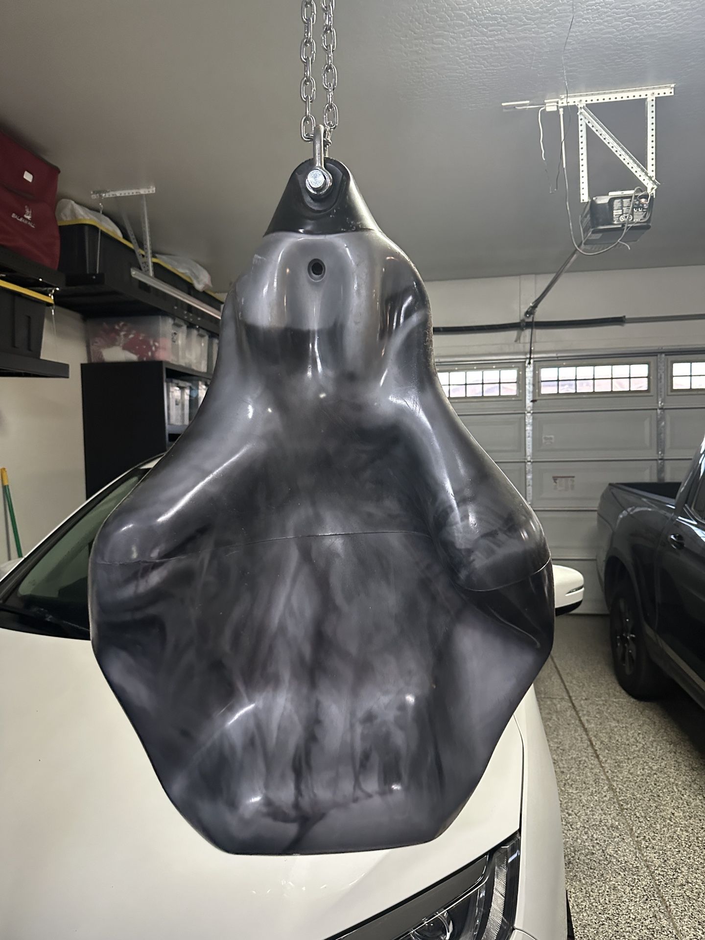 💪 Aqua Bruiser 150lb Punching Bag + CM-2000GS Ceiling Mount (Great Deal!)