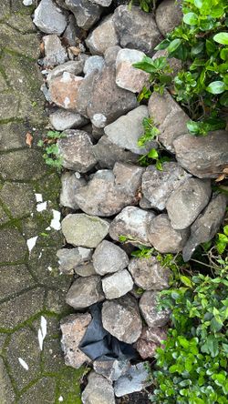 Rocks