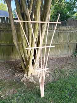 Trellis G- 5 Point Cedar Trellis