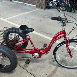 Custom Tricycle 4.0