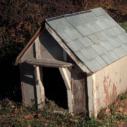Free Dog House