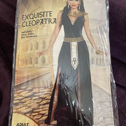 Exquiste Cleopatra