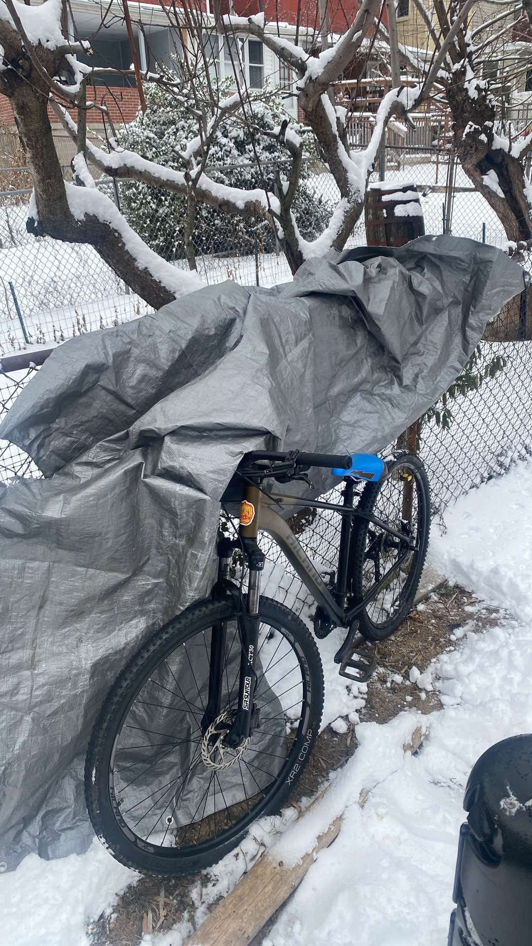 29” Wheelie Mtb