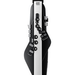 Roland Areophone Model 2-20