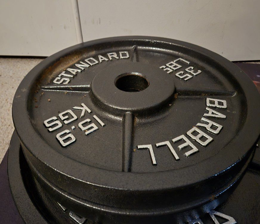 Set of two Cast Iron Olympic 2-inch Weight Plates 