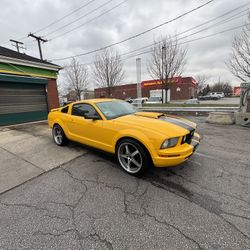 2005 Ford Mustang