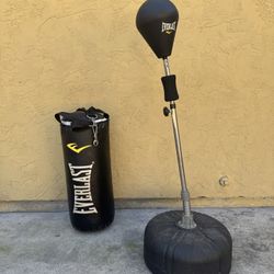 Workout equipment/ punching bag and punching ball and boxing gloves