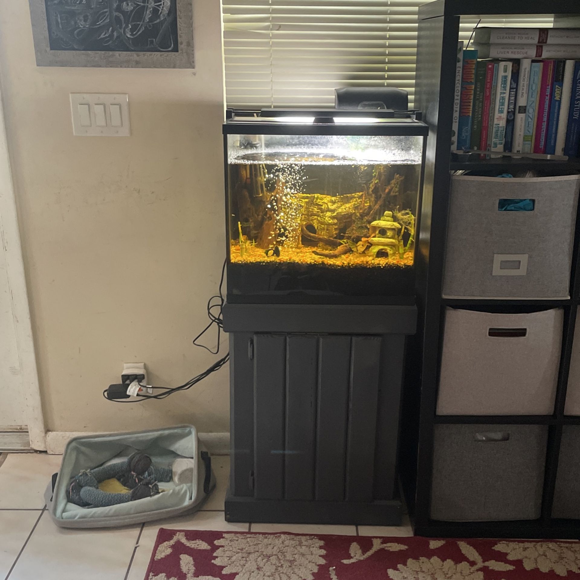 25 Gallon Fish Tank with Stand