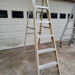 6 Ft Ladder