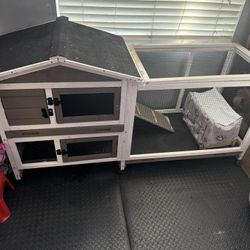 Rabbit House 