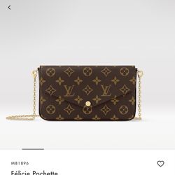 louis vuitton felicie pochette