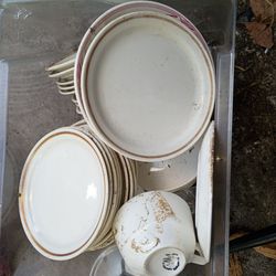 FREE moving 24 Meyer Restaurant Bread Plates